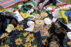PICKNICK202021